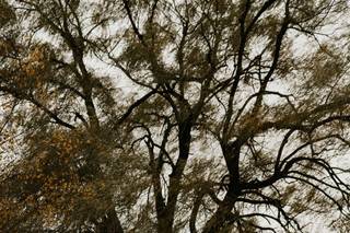 Jmark Photography - 10