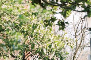 Brigitte Renee Photography - 30