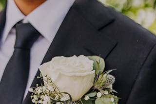 Absolutely Perfect Special Occasions - 16
