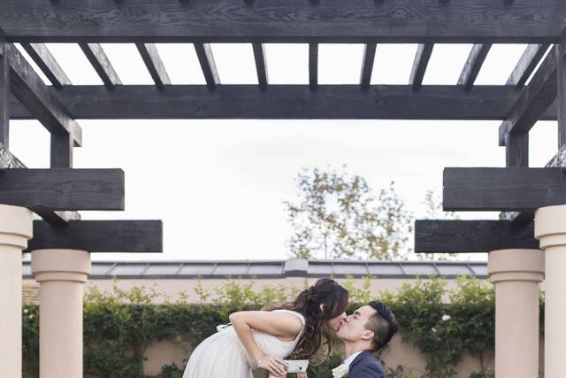 Sarah Kelly Photography 3