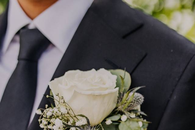 Absolutely Perfect Special Occasions 3