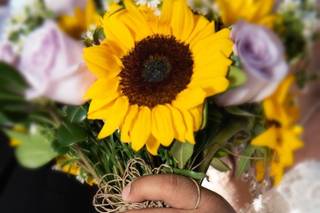 Wertman Photography - 6