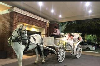 Olde Tyme Carriage Co. - 6