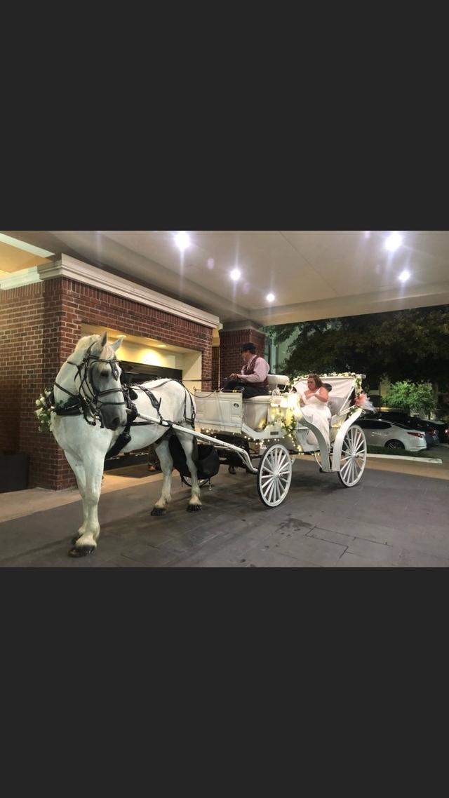 Olde Tyme Carriage Co. - 2