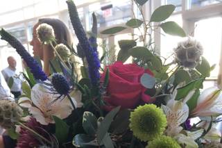 Sweetbay Flowers - 50