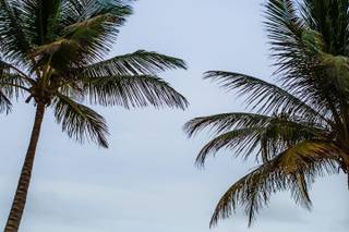 Jose Luis Zapata Photography - 119