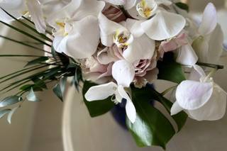 Sarandipity Floral - 19