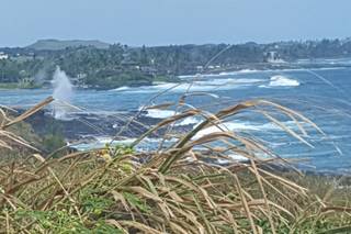 Kauai Dream Weddings - 5