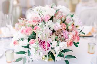 Platinum Petals - 58