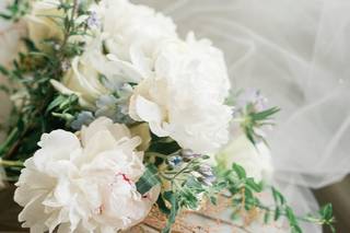 Springvale Floral - 69