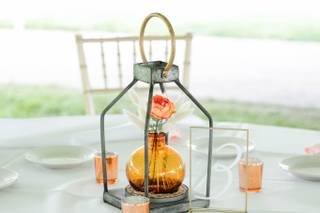 Danielle Salerno Photography - 83