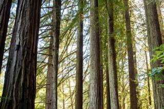 Michael Keel Photography - 53