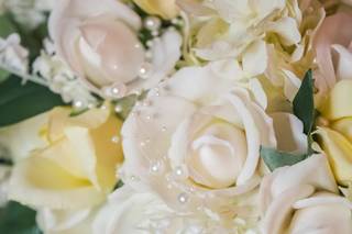 All Occasion Photography - 11
