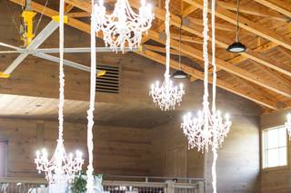 Caitlin & Co. Events - 5