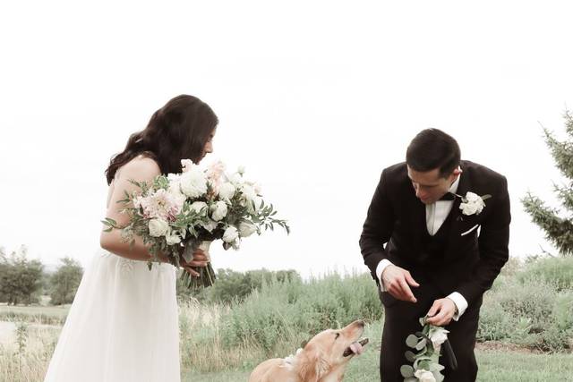 Happy Bark & Tails 4