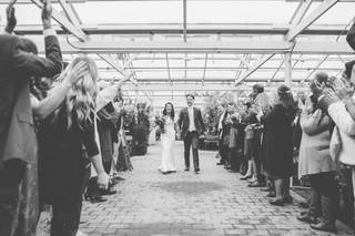 Christianson's Nursery & Greenhouse - 18