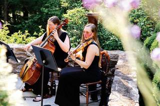 Appalachian String Duo - 1
