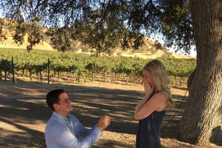 Cass Winery - 15