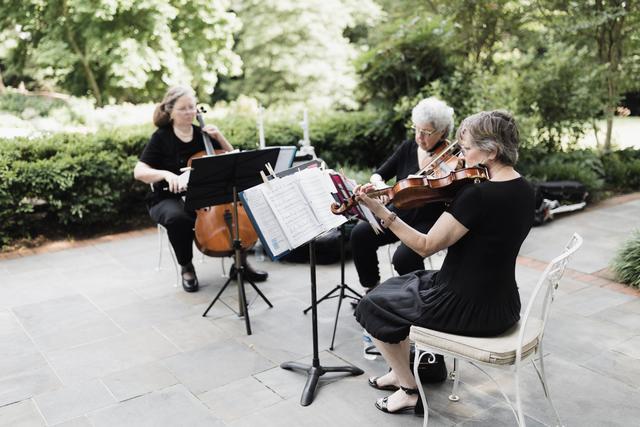 Wilmington String Ensemble - 4