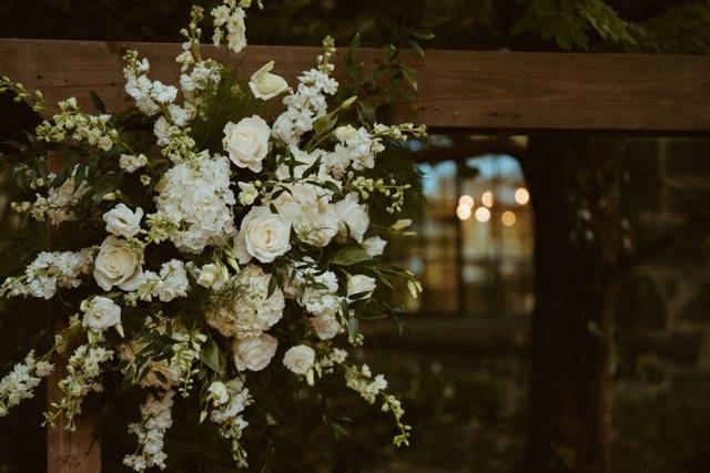Occasions by Emily 2