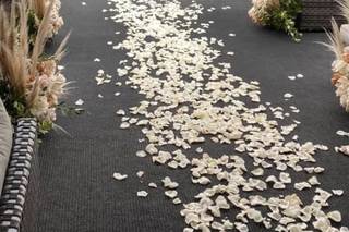 The Petal Creative - 5