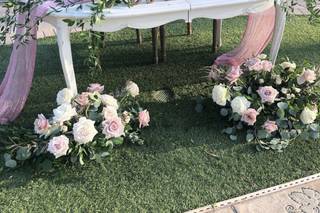 Lovely Peonies - 78