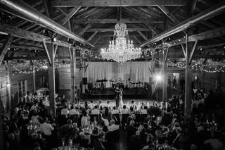 Karen Rainier Photography - 5