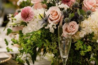 Blueye Images - 24