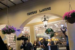 Chateau LeMoyne-French Quarter - 11