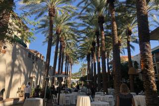 Arizona Grand Resort & Spa - 16