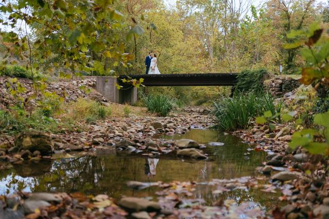 Justy Photography 5