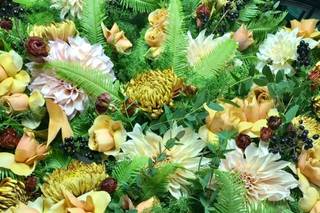Roots of Joy Botanicals - 10