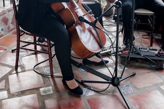 Eleganza Music Services - 16