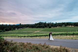 David Girard Vineyards - 14