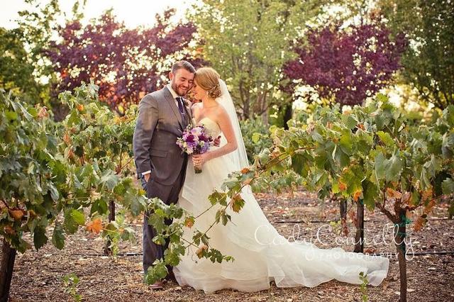Four Sisters Ranch Vineyards & Winery - 4