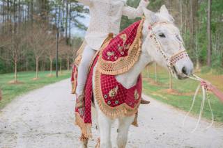 Harmony Weddings and Events - 8