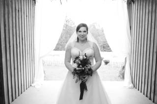 Bayless Photography, Inc. - 15