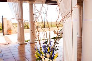 Design Exclusive, LLC - 10