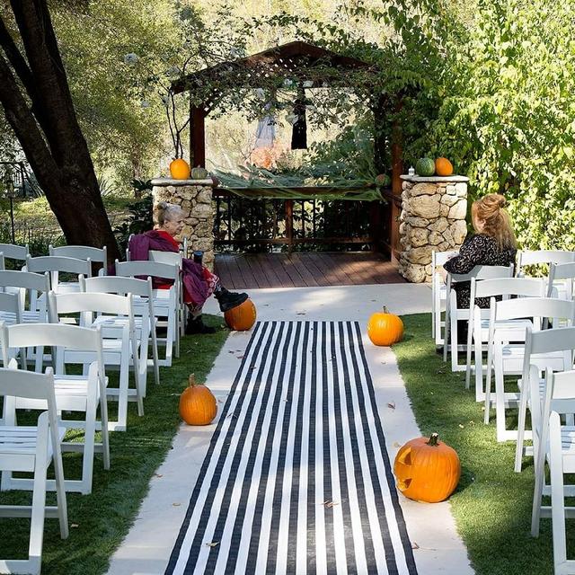 High Sierra Iris & Weddings Gardens - 1
