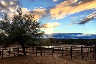 Tanque Verde Ranch - 79