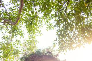 Brooke Limperis Photography - 31