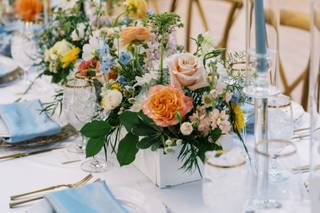 Six Star Events LLC - 6