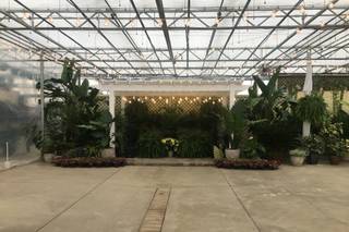 Buchwalter Greenhouse - 13