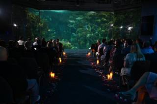 The Florida Aquarium - 18