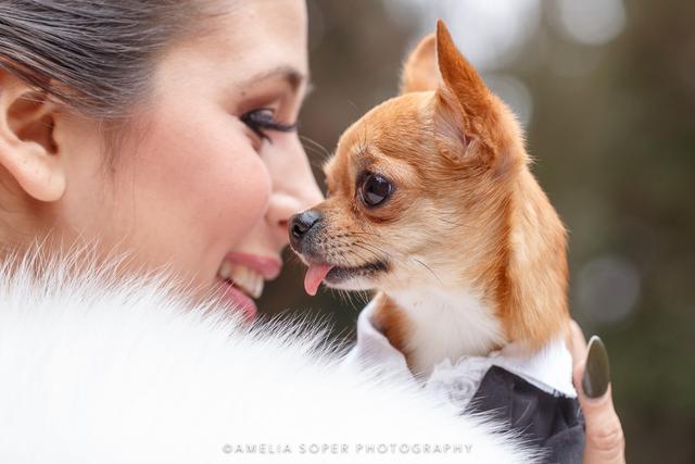 Amelia Soper Photography - 4