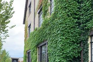 Deer Path Inn - 23