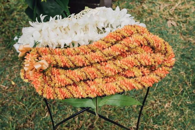 Sanddollars Floral 1