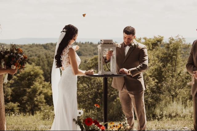 Ashley Painter Photography - 2