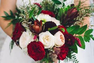 Petaloso - 23