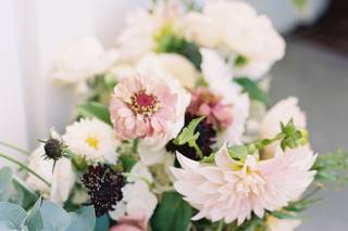 Wild Fleurette - 31